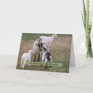 Cartão Kid kissing goat