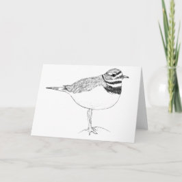 Cartão Killdeer