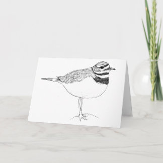 Cartão Killdeer