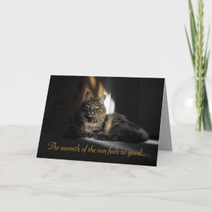 Cartão Kimber Cat Slivers of Sunlight I Love You Card