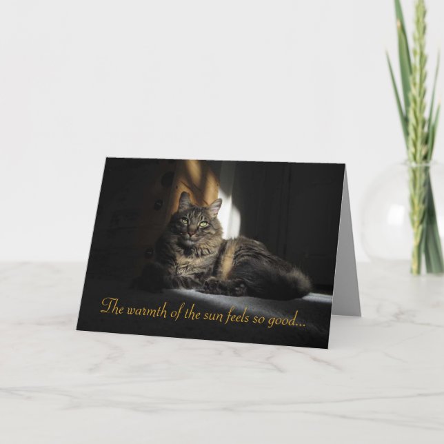 Cartão Kimber Cat Slivers of Sunlight I Love You Card (Frente)