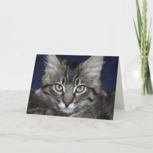 Cartão Kimber Kitten Happy Birthday Card