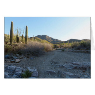 Cartão King Canyon Trail I