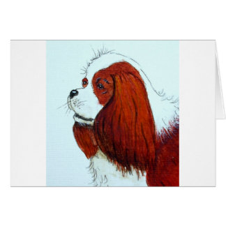 Cartão King Charles Cavalier Spaniel