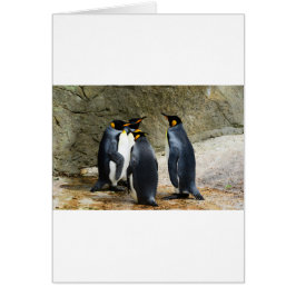 Cartão King Penguin