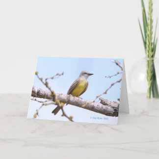 Cartão Kingbitrd-1-05 tropical