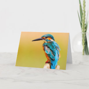 Cartão Kingfisher Bird Greeting Card