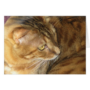 Cartão Kishka-brilho no ouro