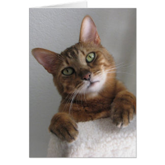 Cartão Kishka no alto