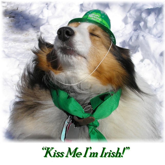 Cartão "Kiss Me I'm Irish!" Card (Criador carregado)
