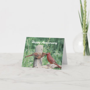 Cartão Kissing Cardinals Happy Anniversary