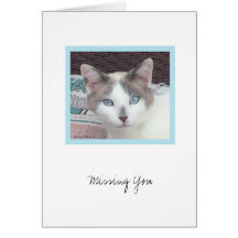 Kit Coleção nº 3 do Kit