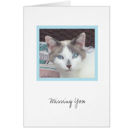 Cartão Kit Coleção nº 3 do Kit