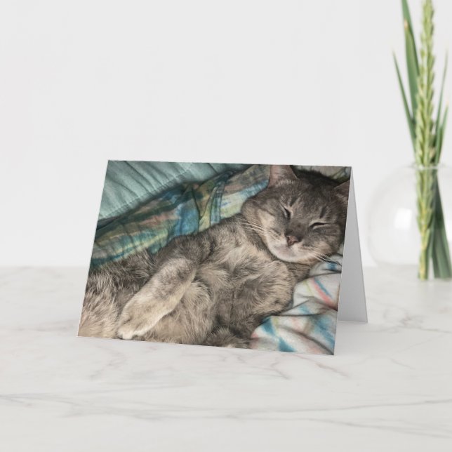 Cartão Kitten (Frente)