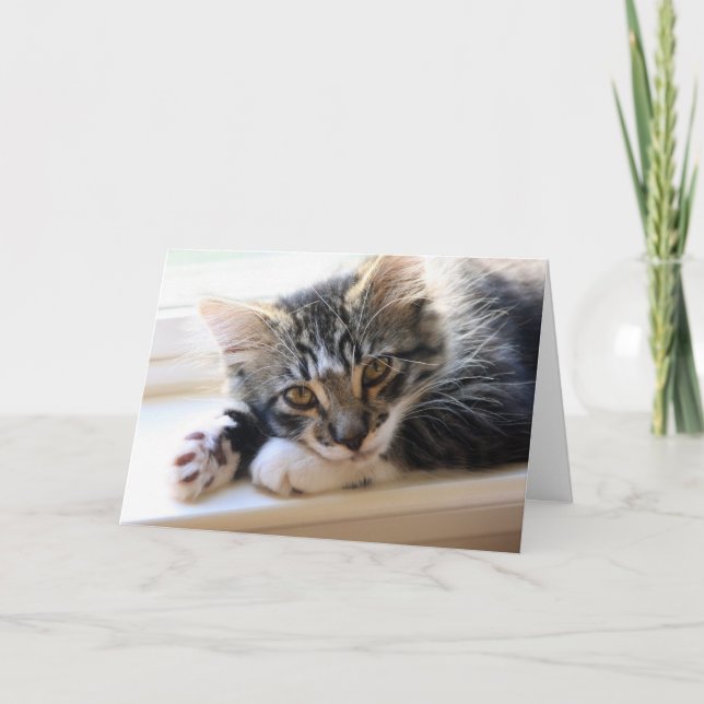Cartão Kitten All About You Mother's Day Card (Frente)