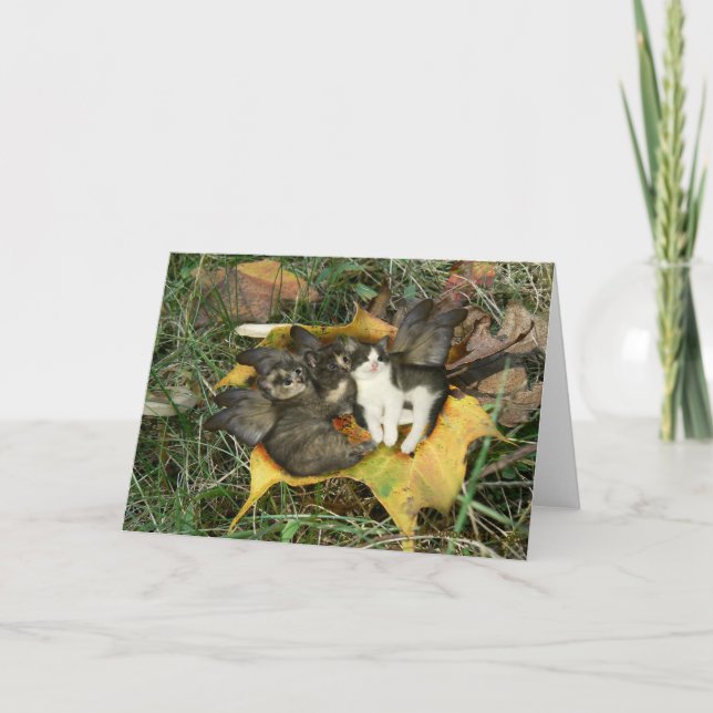 Cartão Kitten Fairies Greeting Card (Frente)