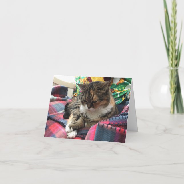 Cartão kitten get well notecard #2 (Frente)