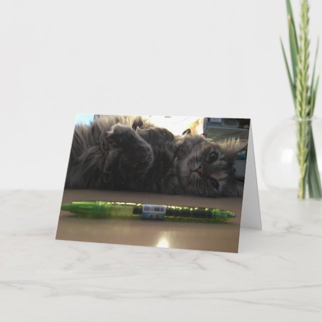 Cartão kitten greeting card #2 (Frente)