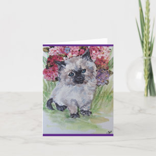 Cartão Kitten Himalaia
