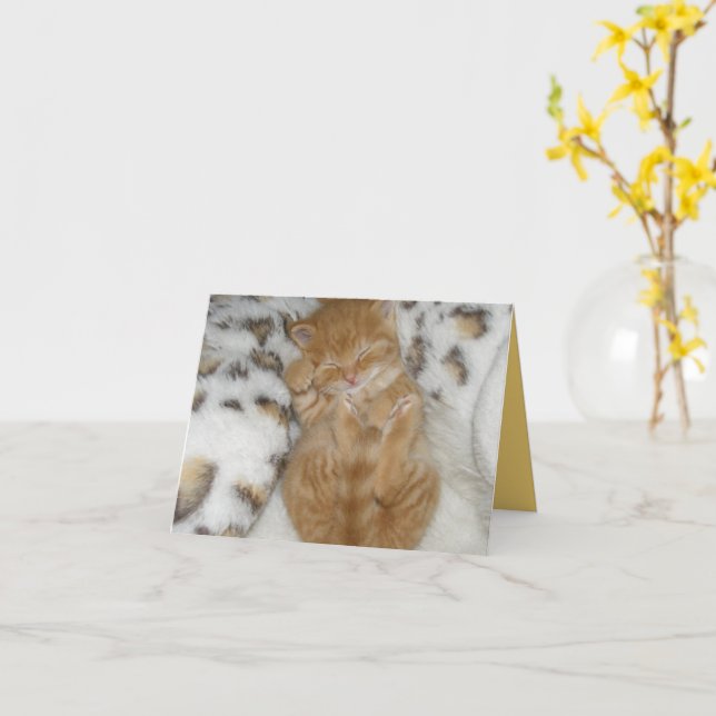 Cartão Kitten Love (Flor Amarela)