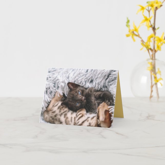 Cartão Kitten Love (Flor Amarela)