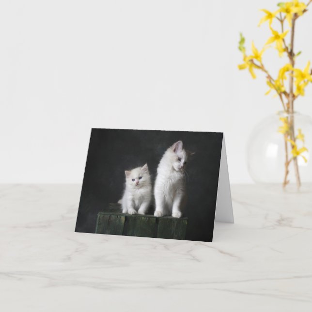 Cartão Kitten Love (Flor Amarela)