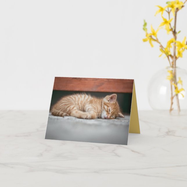 Cartão Kitten Love (Flor Amarela)