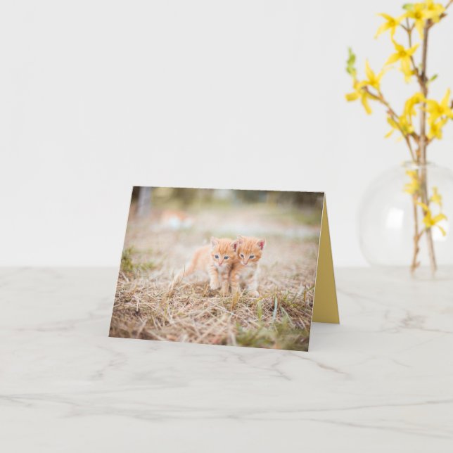 Cartão Kitten Love (Flor Amarela)