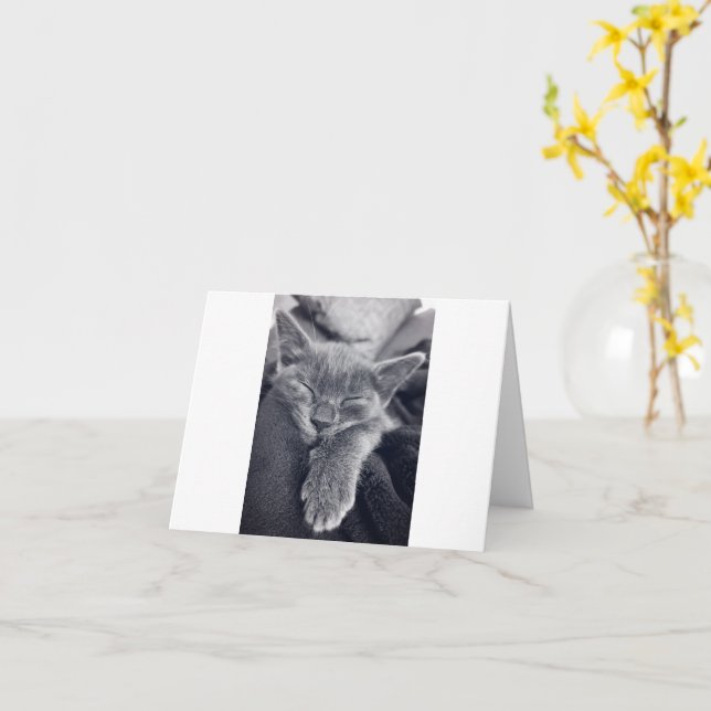 Cartão Kitten Love (Flor Amarela)