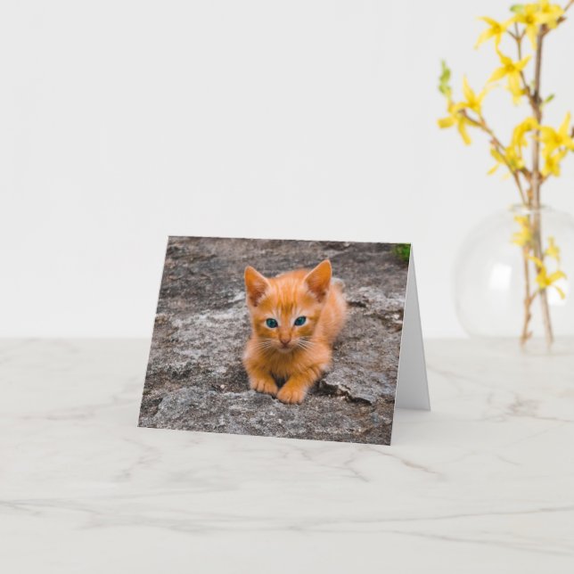 Cartão Kitten Love (Flor Amarela)