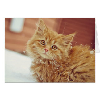 Cartão Kitten na neve
