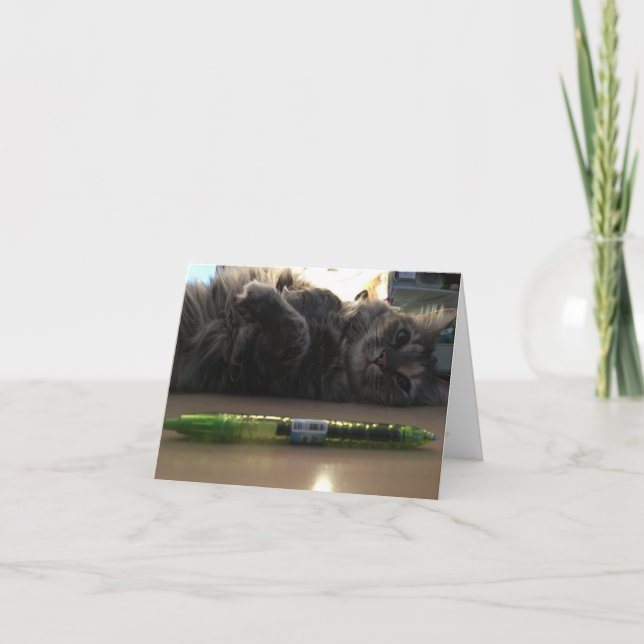 Cartão kitten notecard #2 (Frente)