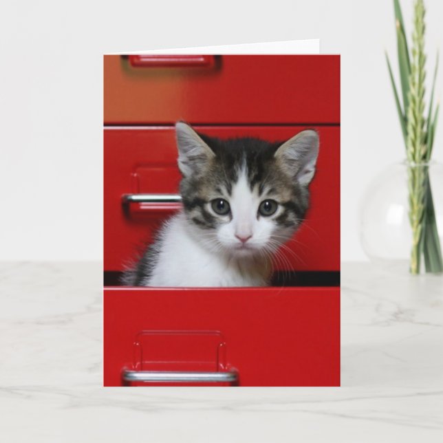 Cartão Kitten Peeking (Frente)