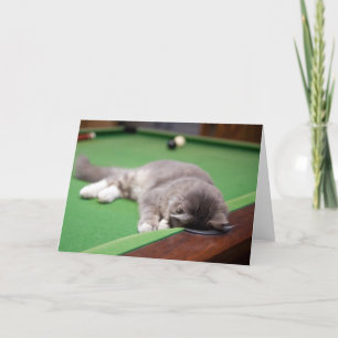 Cartão Kitten Playing Pool