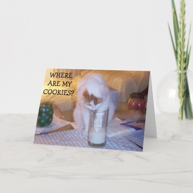 CARTÃO KITTEN PRECISA DE COOKIES/DESEJAR QUE VOCÊ ESTEJA  (Frente)