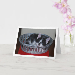 Cartão Kitten Preto e Branco no Cesto