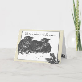 Cartão Kitten Sapo Aniversário