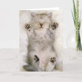 Cartão Kitten Sleeping on a White Fluffy Carpet, High