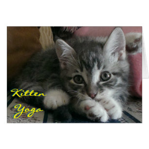 Cartão Kitten Yoga (Cartão De Animação) - Envelope Incluí