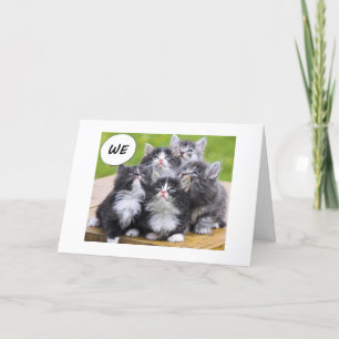 CARTÃO KITTENS QUER DESEJAR O MELHOR AMIGO FELIZ ANIVERS