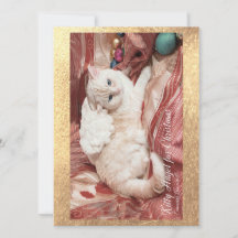 Kitty Angel para o Natal