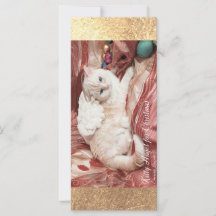 Kitty Angel para o Natal