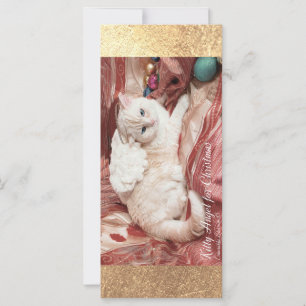 Cartão Kitty Angel para o Natal