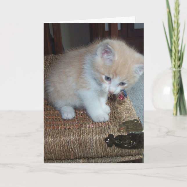 Cartão Kitty Birthday (Frente)