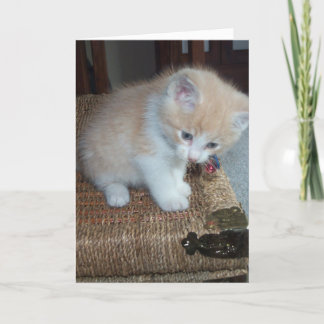 Cartão Kitty Birthday