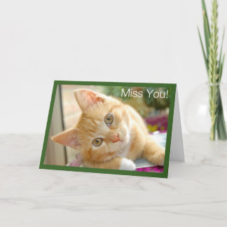 Cartão Kitty Cat - Kitten Miss You Card