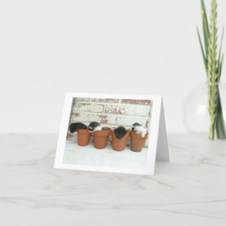 Cartão Kitty Pots Note Cards