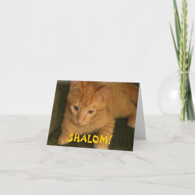 Cartão Kitty "SHALOM" Jewish Greeting Card (Frente)
