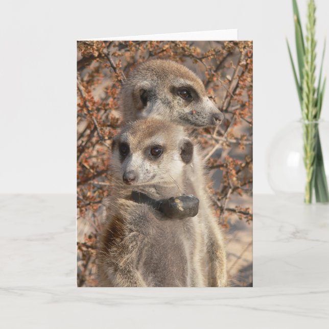 Cartão KMP 4 - Jo Jo Hello e Habituy (Frente)