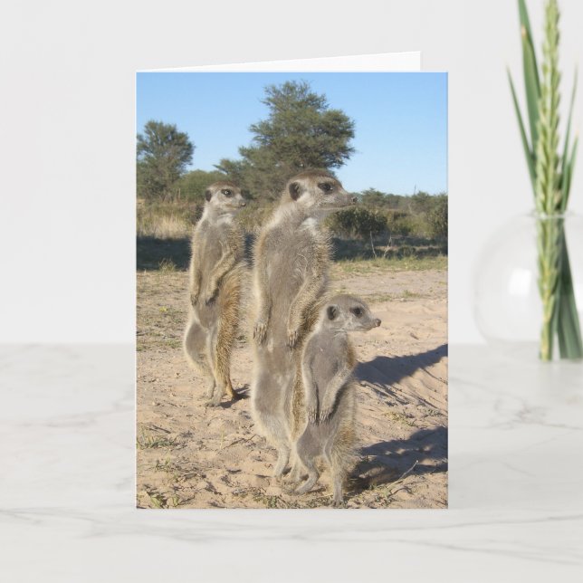 Cartão KMP Card 7 - Aztecs (Frente)